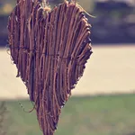 heart-roses1[1]