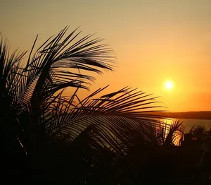 from rodale.com
