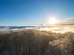 Photo from: /wiki/File_Fog.webp