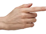 Pushing Hands[1]